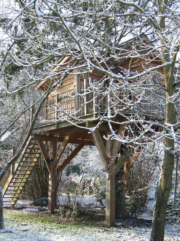 Chambres D'Hotes De La Vallee Javot Fericy ภายนอก รูปภาพ