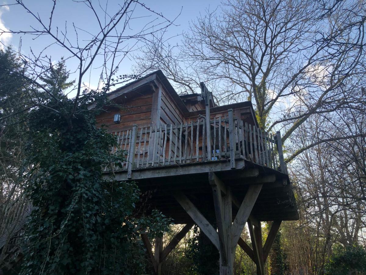 Chambres D'Hotes De La Vallee Javot Fericy ภายนอก รูปภาพ